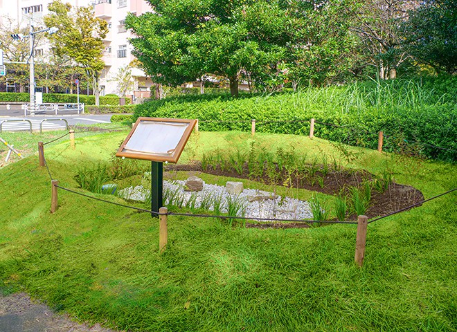 大島小松川公園
