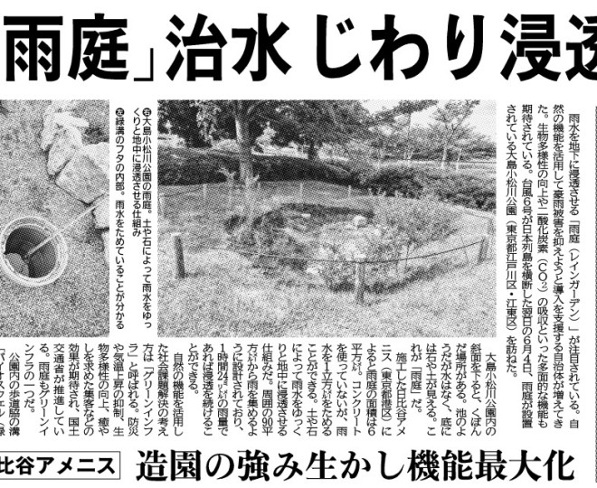 【コラム】自然の機能で豪雨被害抑える…自治体にじわり浸透、「雨庭」を知っていますか
